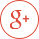 Profilo Google Plus Voce di Strada